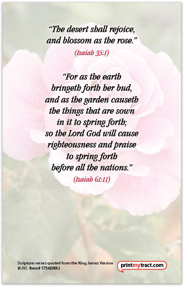 The Rose