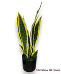 19" Sansevieria ( LPS951-VG )