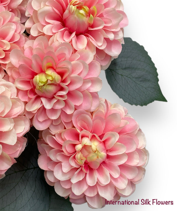 23'' Dahlia Bush ( INT010-#5 Cream Beauty )