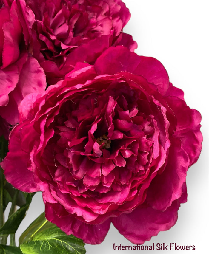24.5'' Peony Bush ( INT1031-Beauty )