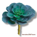 5'' Soft Plastic Echeveria Pick ( CM4406-BL )