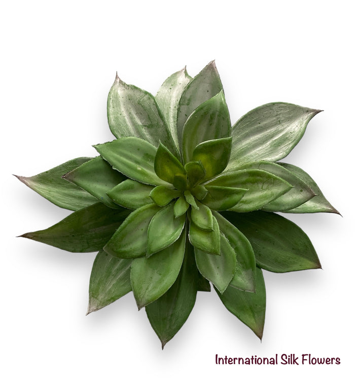7'' Butterfly Succulent ( 142770-Green )