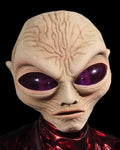 "Alien Grey" Halloween Mask