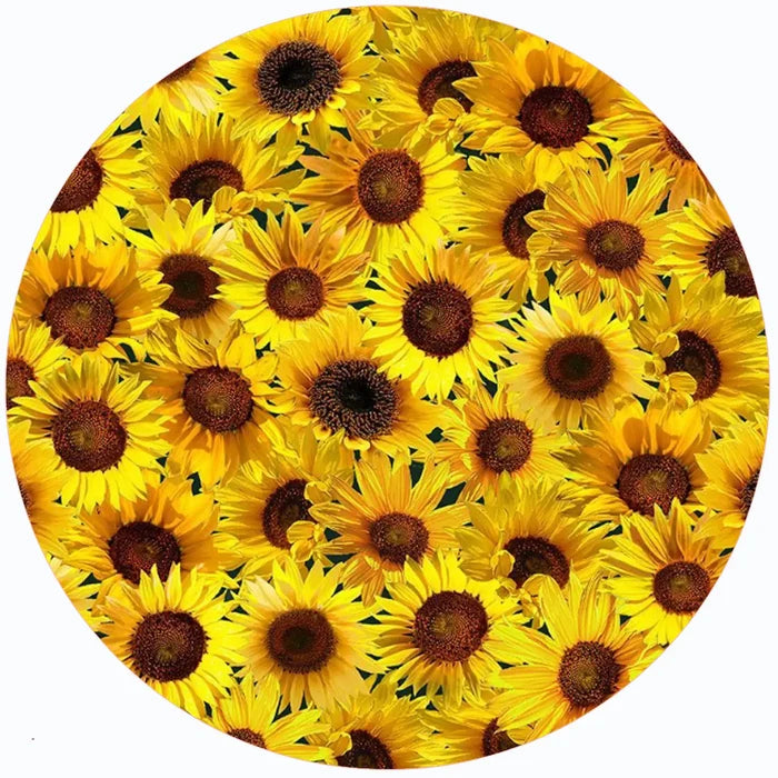 Andreas Jar Opener: Sunflower