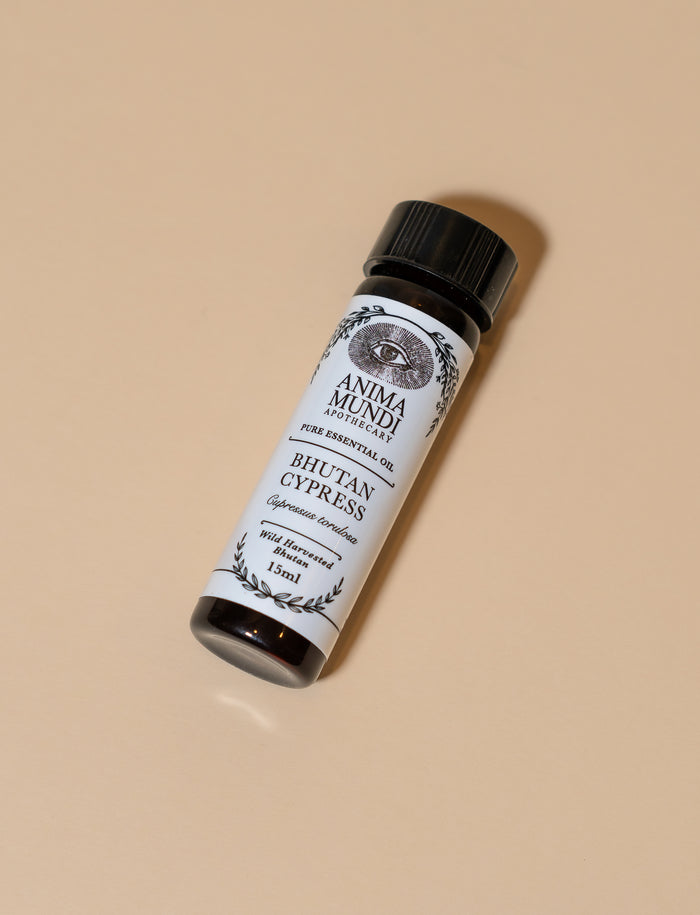 BHUTAN CYPRESS Essential Oil | Wildcrafted
