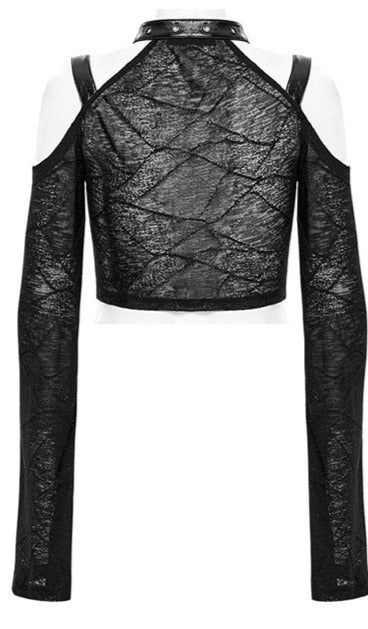 back of top on display