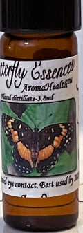 Bordered Patch (Chlosyne lacinia)