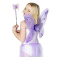 Butterfly Wings And Wand