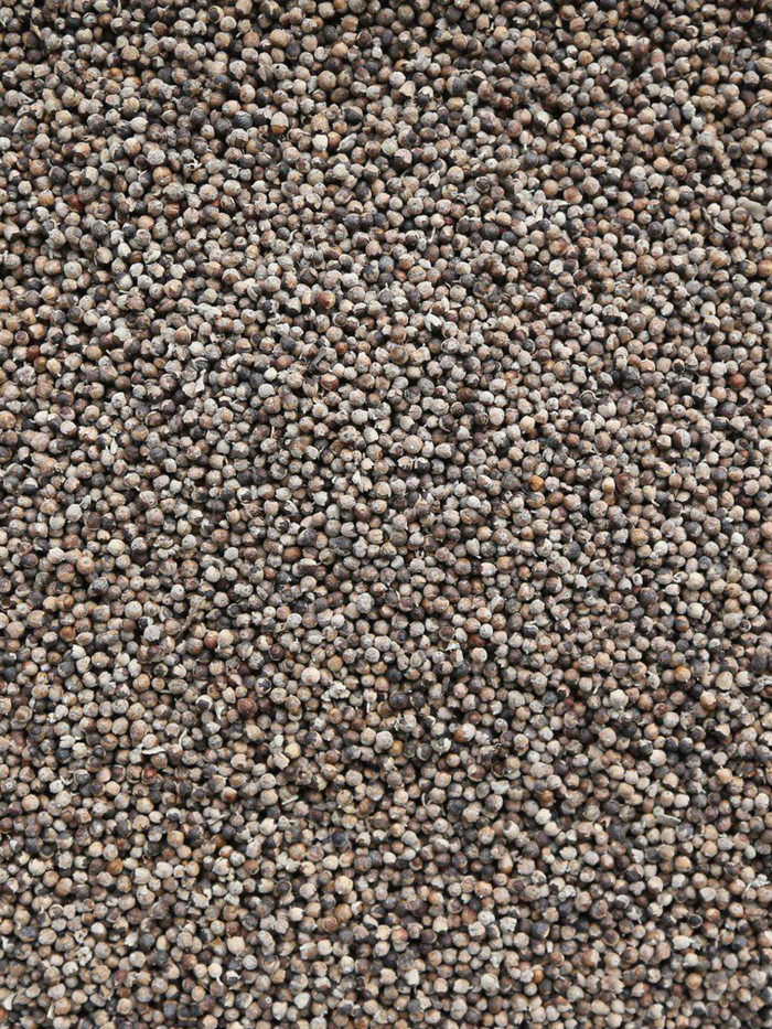 Chaste Berry (Vitex), Organic 4 oz BULK BAG