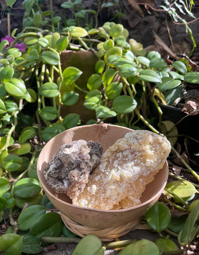 Small bowl with rocks and crystals on a bed of green leaves