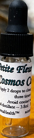 Cosmos Caudatus
