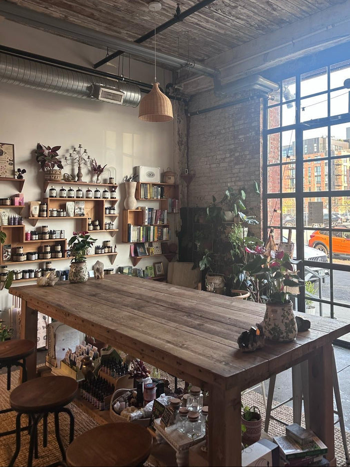 Cozy cafe interior with wooden tables, shelves, and large windows.