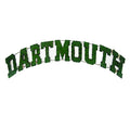 Dartmouth College "Dartmouth" Recycled Metal Wall Decor