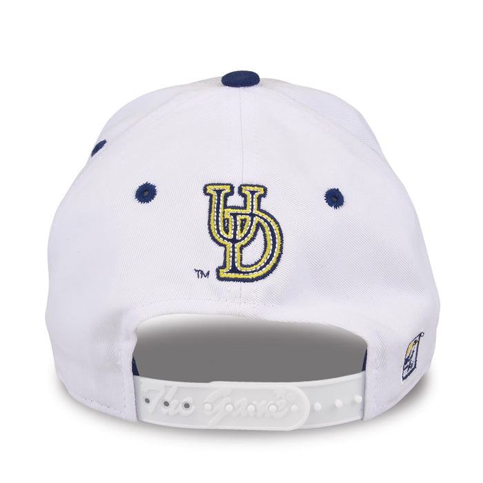 Delaware Bookstore Snapback