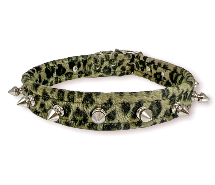 collar on display