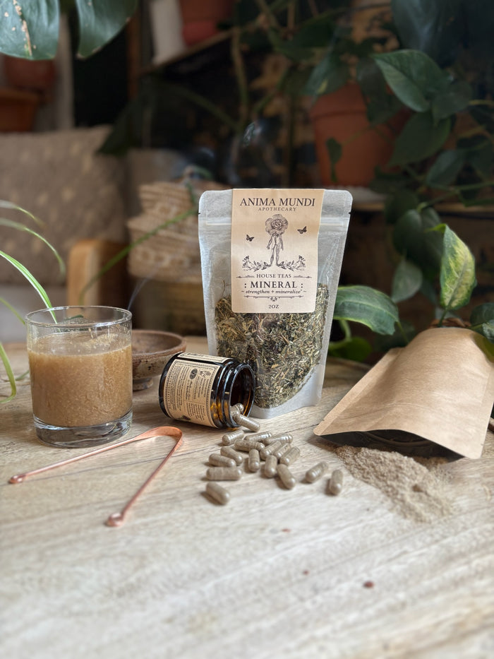 GUT SWEEP | Intestinal Love, Parasite Support Tea