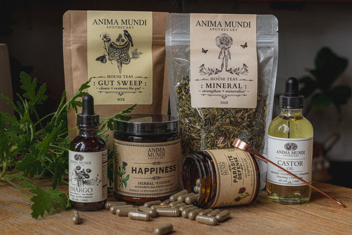 GUT SWEEP | Intestinal Love, Parasite Support Tea