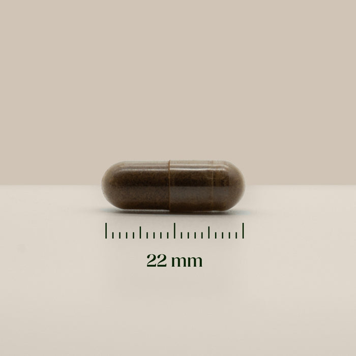 Hairgivers Ashwagandha supplement 500 mg | 120 capsules (vegan)