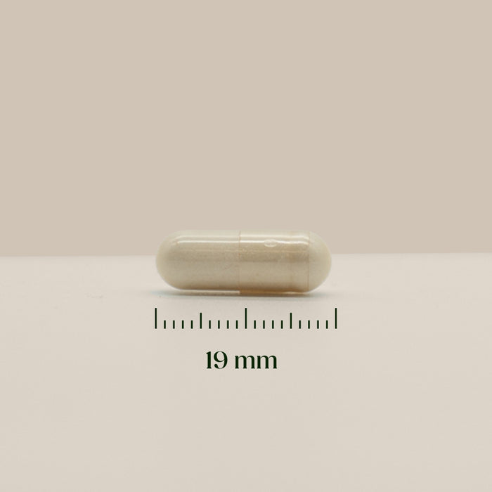 Hairgivers Biotin supplement 1000 mcg | 60 capsules (Vitamin B7)