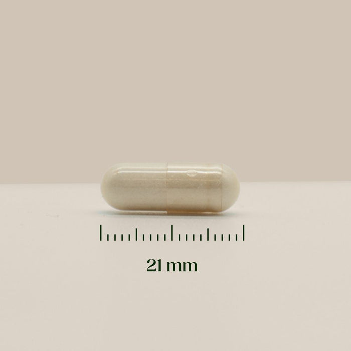 Hairgivers NAC supplement 600 mg | 120 capsules (N-acetylcysteine)