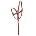 Halter Figure Eight Foal - EZhorse.com