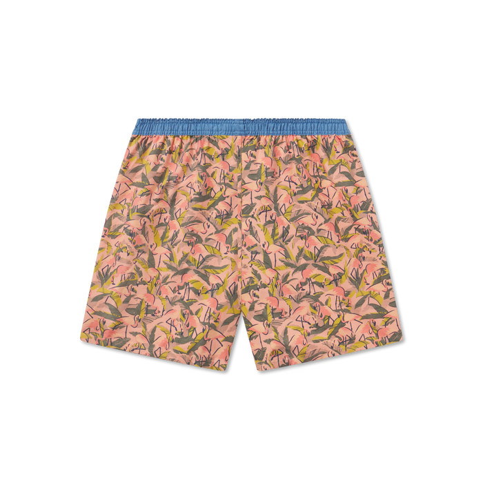 Coral Flamingos | Back