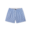 Light Blue with Navy Ducks