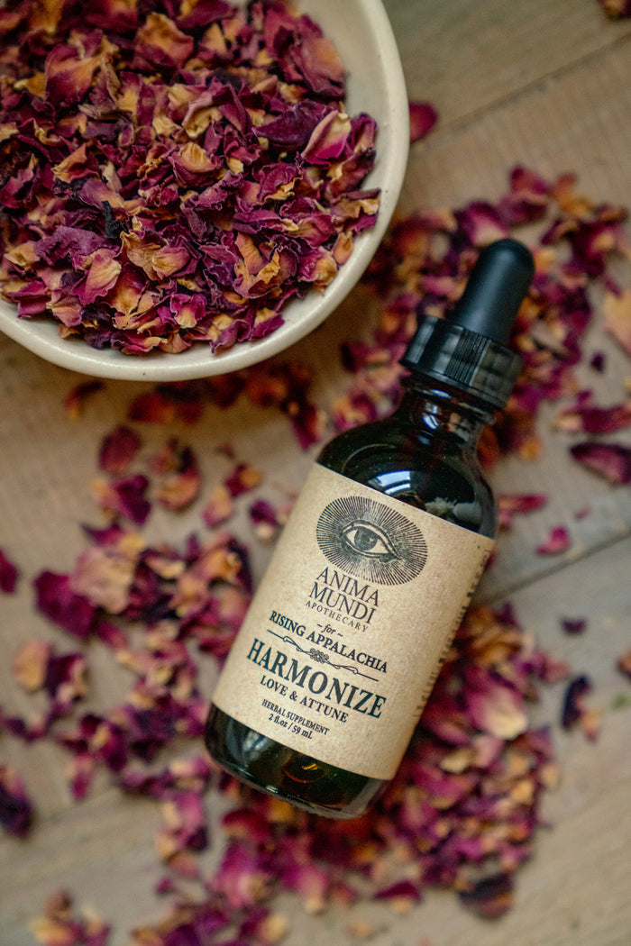 Bottle of Anima Mundi 'Harmonize' with dried flowers on a wooden surface