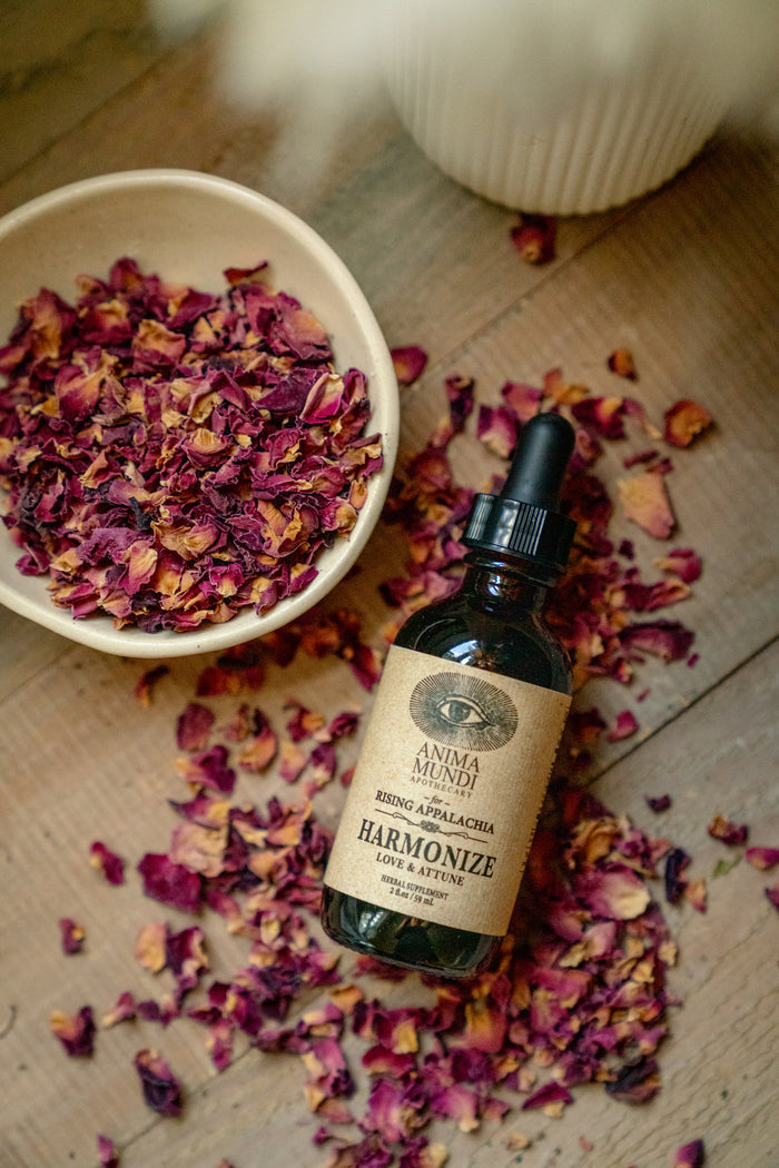 Bottle of 'Harmonize' with dried flowers on a wooden surface