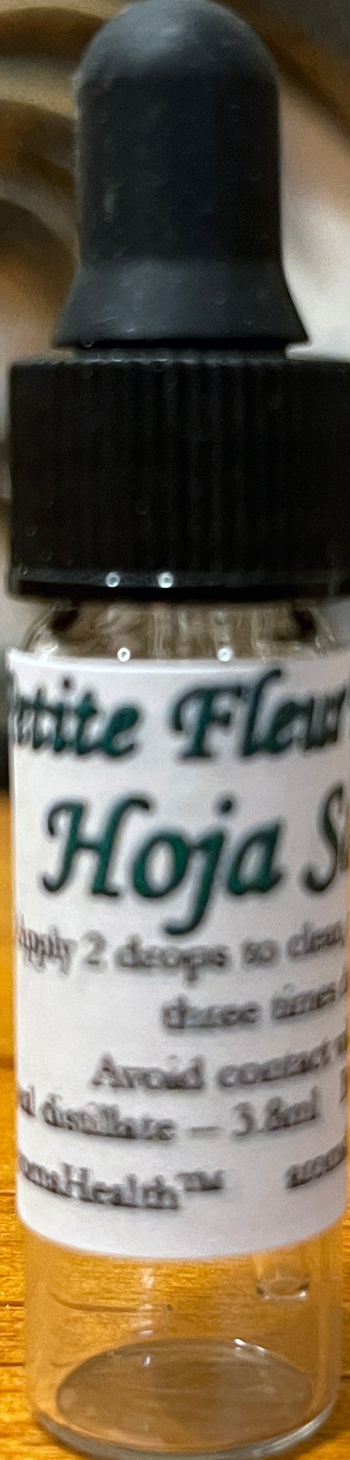 Hoja Santa (Piper auritum)
