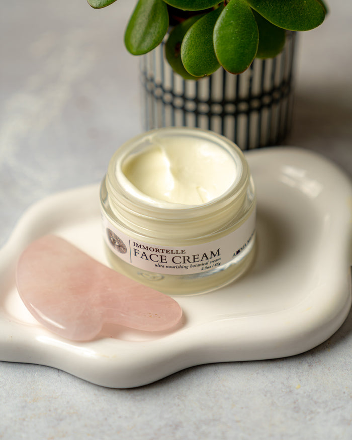 IMMORTELLE Face Cream | Hydrating + Rejuvenative*