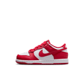Nike Kids' Dunk Low