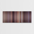 Meet the Parents color palette canvas print: thousands of thin vertical stripes of color