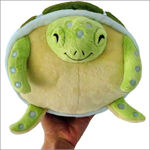Sea Turtle