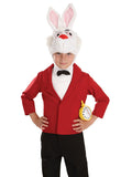 Mister Rabbit Kids Costume
