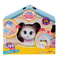 Front packaging of Moose Toys Little Live Pets My Kitty's Home shows a fluffy white and gray interactive kitten, playhouse pieces, and a child playing. Text highlights sounds, reactions, easy assembly, and imaginative fun from Moose Toys.