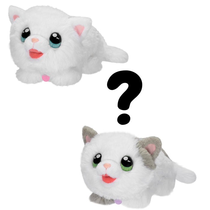 Two stuffed toy cats with green eyes and pink noses, one white and one with gray markings, sit separated by a large question mark—Moose Toys Little Live Pets My Kitty's Home invites imaginative kitten play.