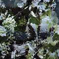 Musings on the Vine