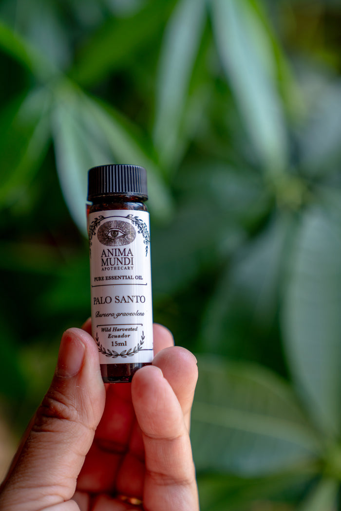 Hand holding a bottle of Anima Mundi Palo Santo essential oil against a green leafy background