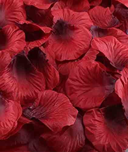 Paper Petal Confetti- Red