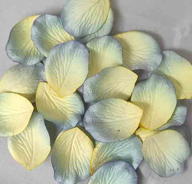 Paper Petal Confetti