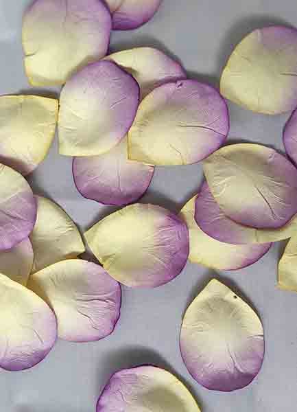 Paper Petal Confetti