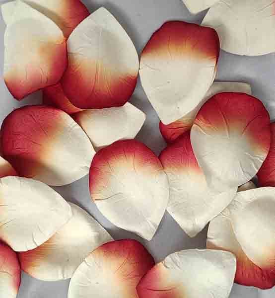 Paper Petal Confetti