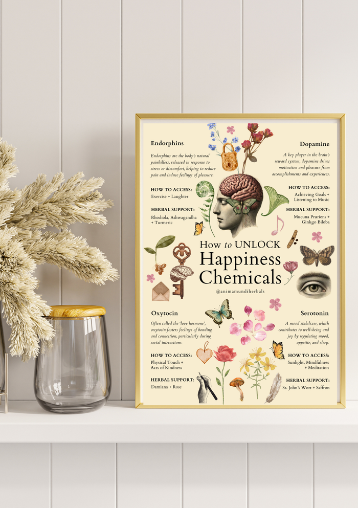 POSTERS By Anima Mundi