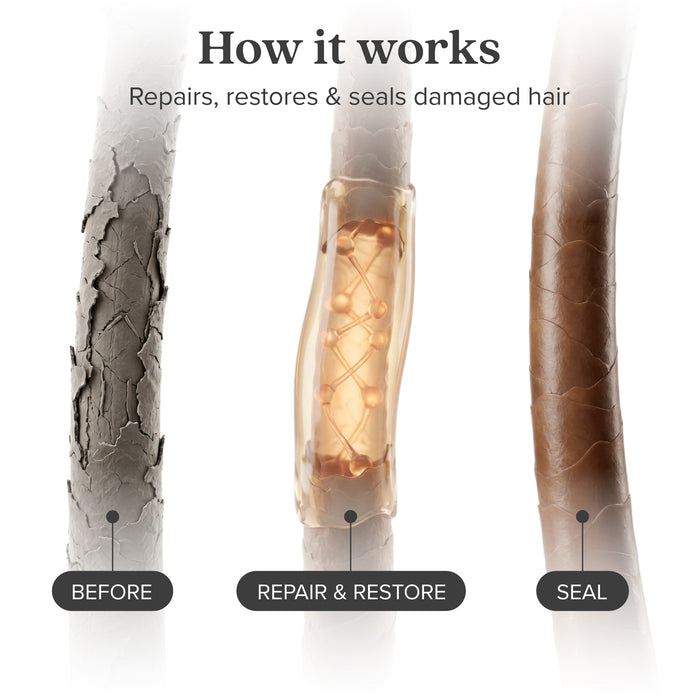 Repair & Restore Kit