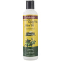 Shakebar Castor Oil & Olive Oil repairing shampoo - Hairgivers
