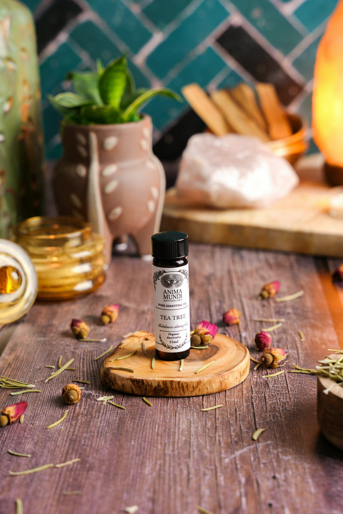 TEA TREE Essential Oil | Organic