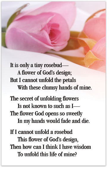 The Rose