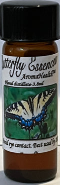 Tiger Swallowtail (Papilio glaucus)