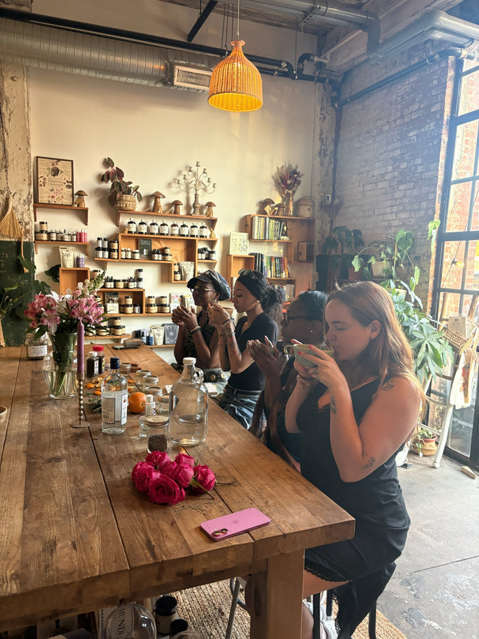 People sitting around a wooden table in a cozy cafe with plants and decor. Anima Mundi Herbals Events